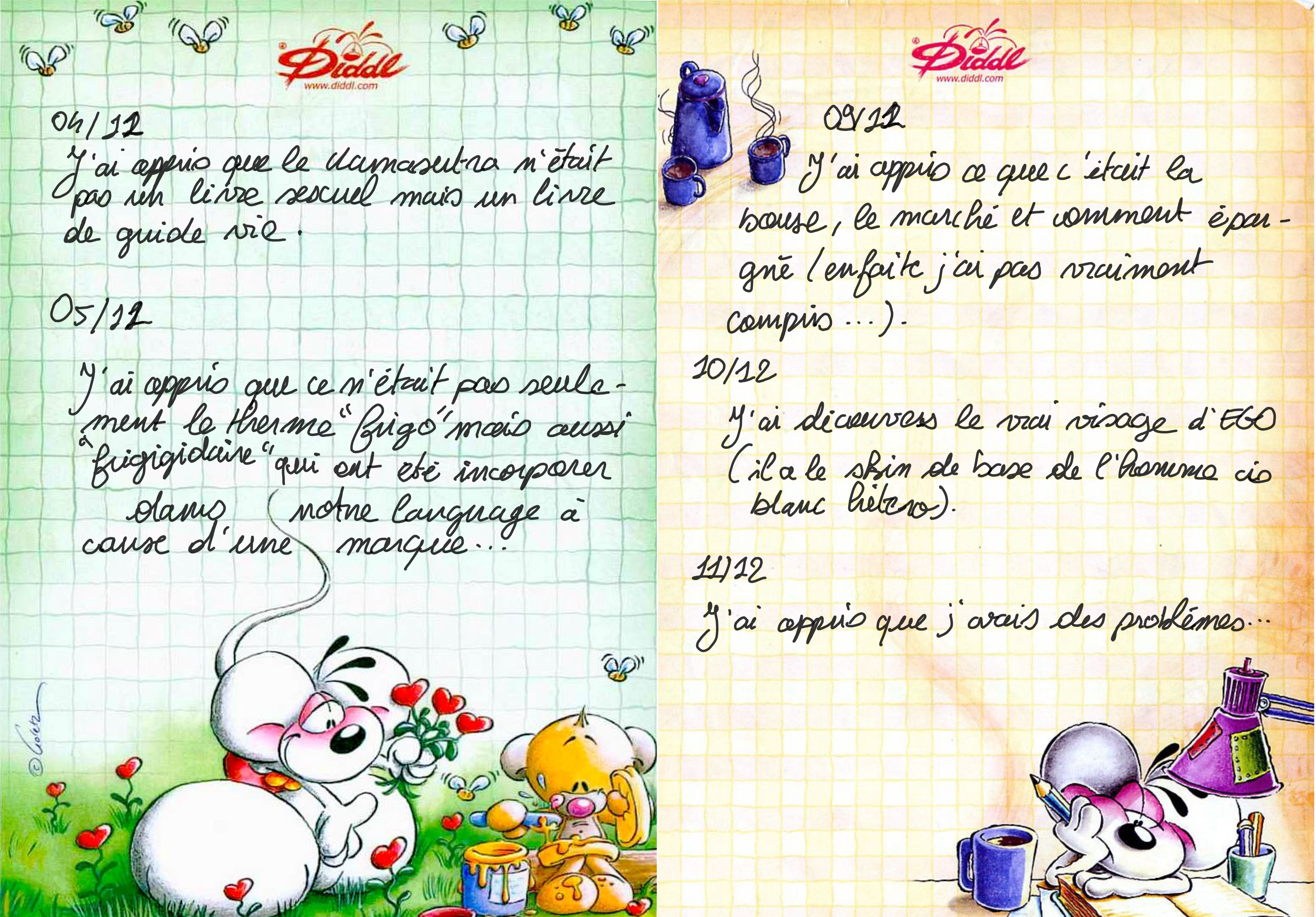 fiche diddle avec des entrées comme un journal intime